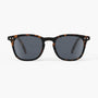 Solbriller Kids E Tortoise