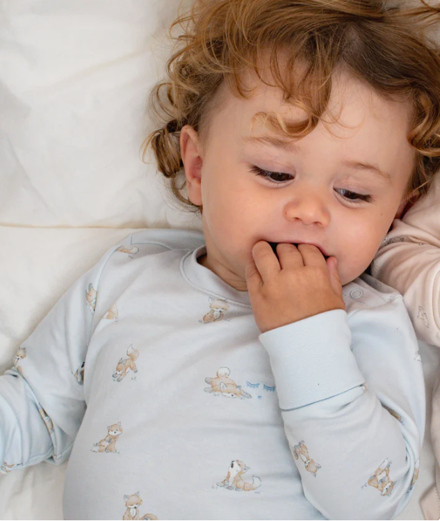 Sett Pysj Foxes Blue