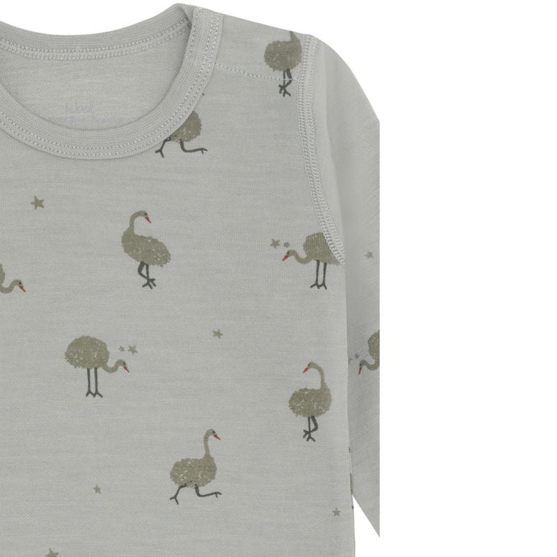 Body Baloo Ostrich Forest Fog
