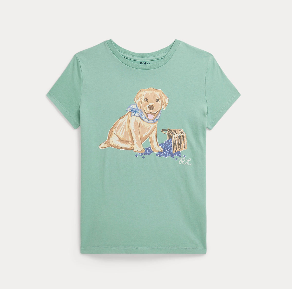 T-skjorte Dog Celadon