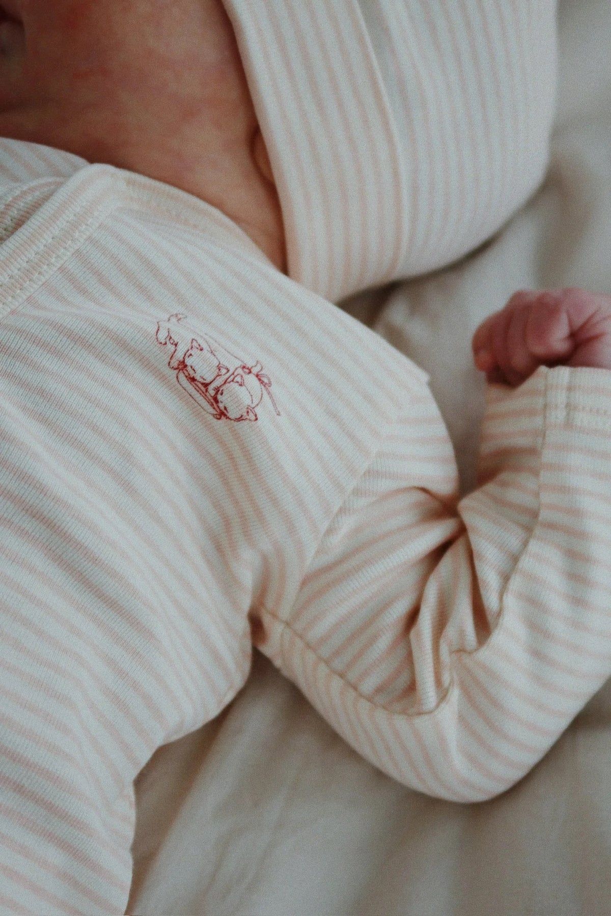 Heldress Fio Tea Stripe Cameo