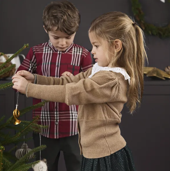 Skjorte Classic Check Tommy Ruter