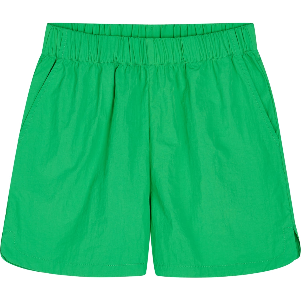 Shorts Albarny Green