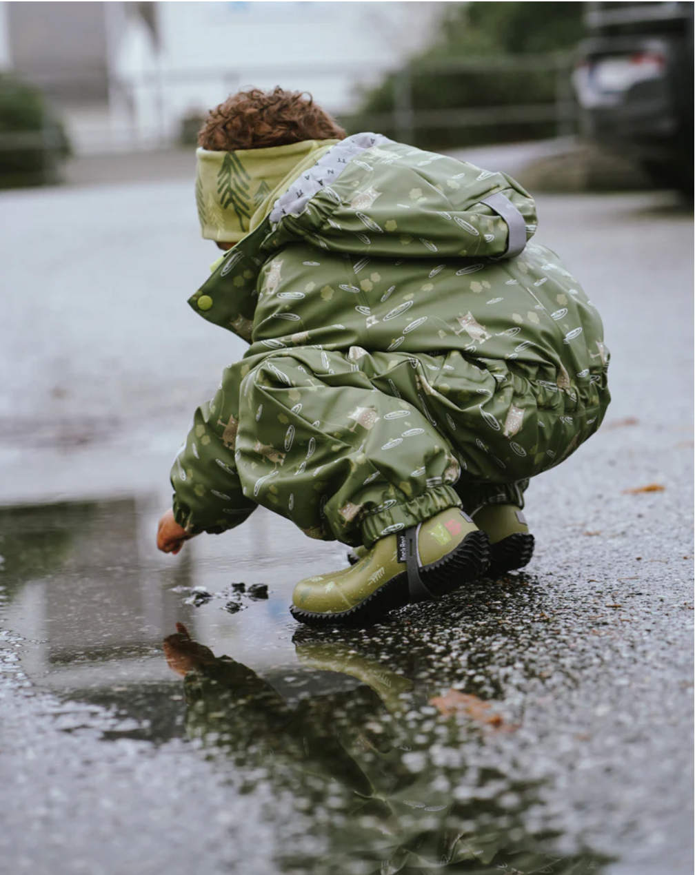 Helårsregndress Hagl Mose