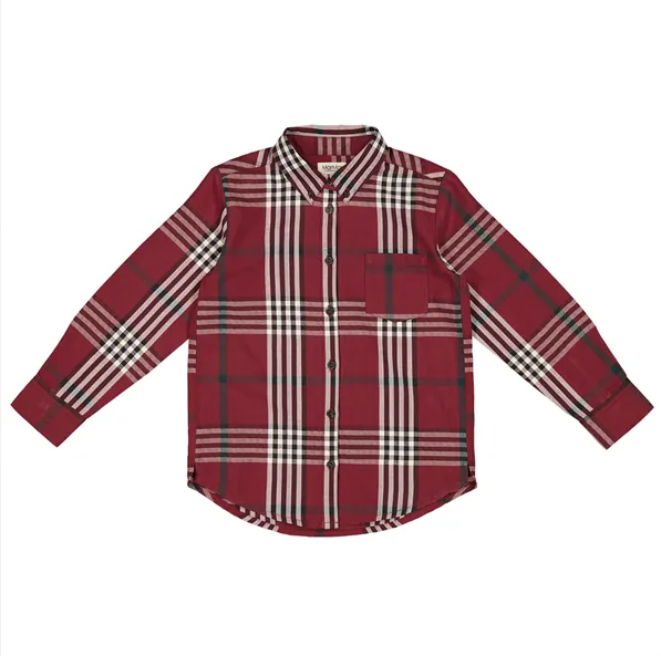 Skjorte Classic Check Tommy Ruter