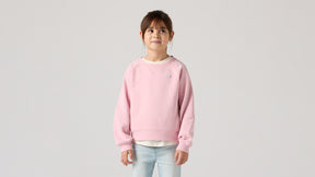 Genser Crew Meet And Greet Coral Blush