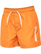 Badebukse Bondi Board shorts Orange