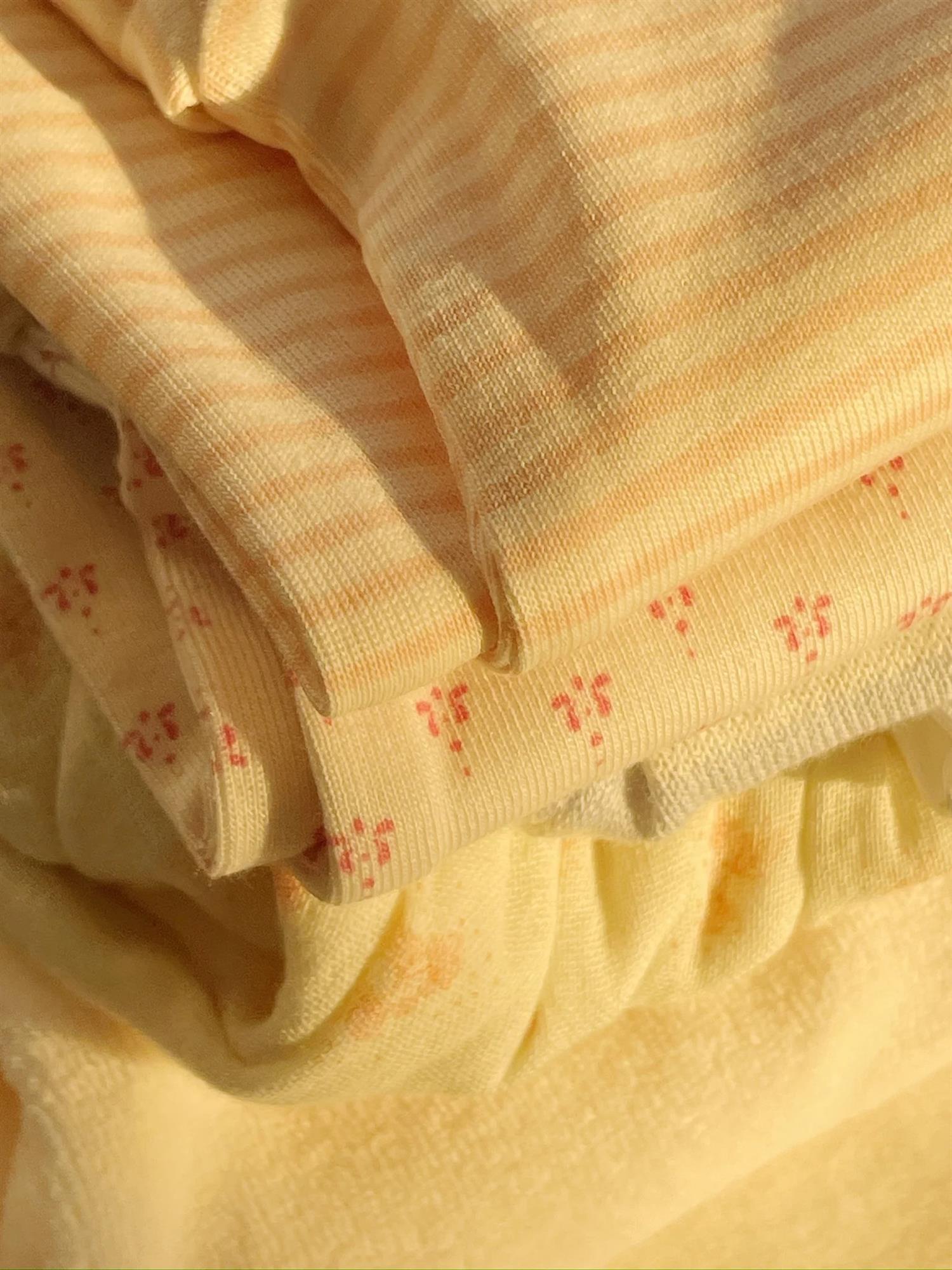 Body Fio Tea Stripe Cameo