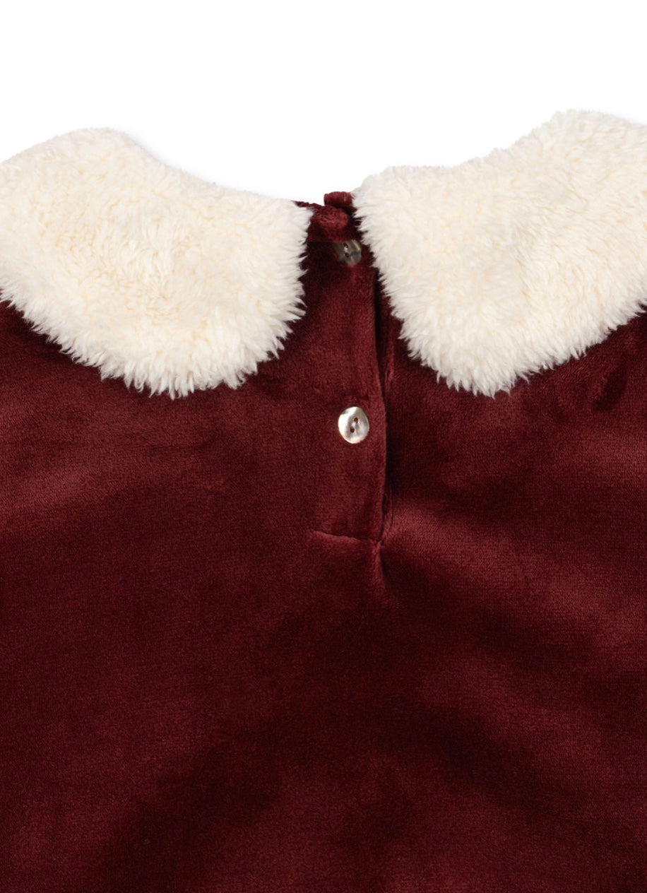 Sett Christmas Red Dahlia