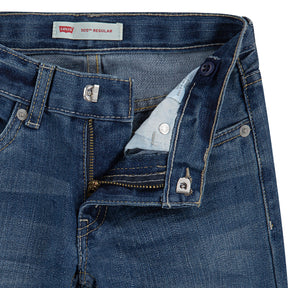 Jeans 505 Regular Fit Cloude Tones