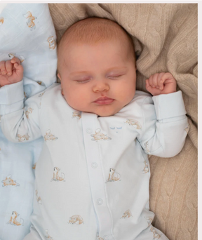 Sparkedress Foxes Blue