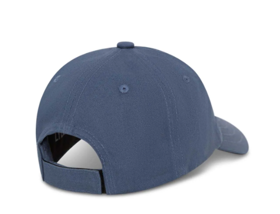 Caps Baseball Dark Cornflower