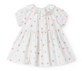 Kjole Dalino Poplin Poppy