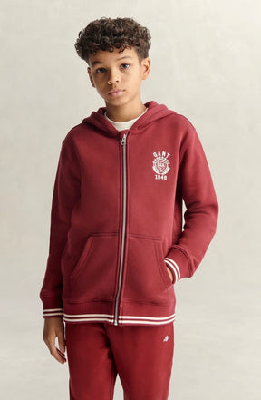 Hettegenser Collegiate Graphic Zip Plumped Red