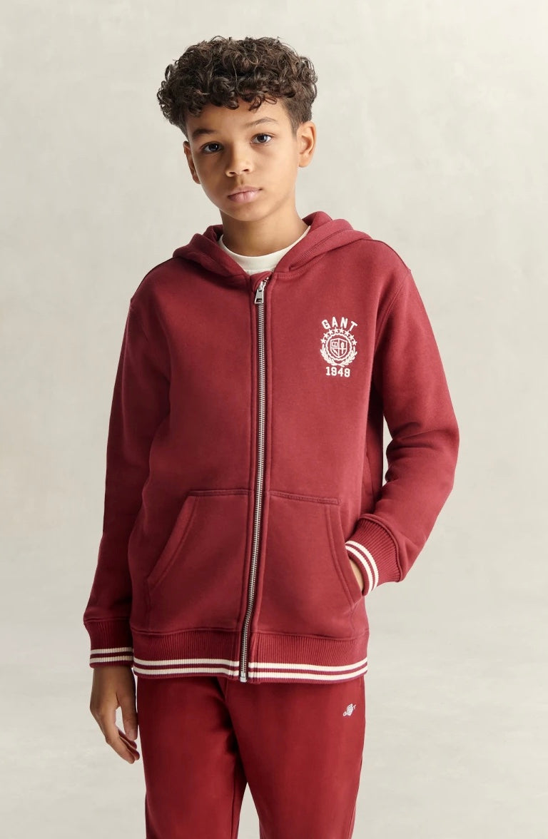 Hettegenser Collegiate Graphic Zip Plumped Red