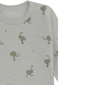 Body Baloo Ostrich Forest Fog