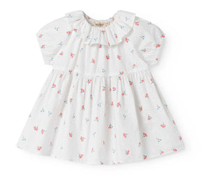 Kjole Dalino Poplin Poppy