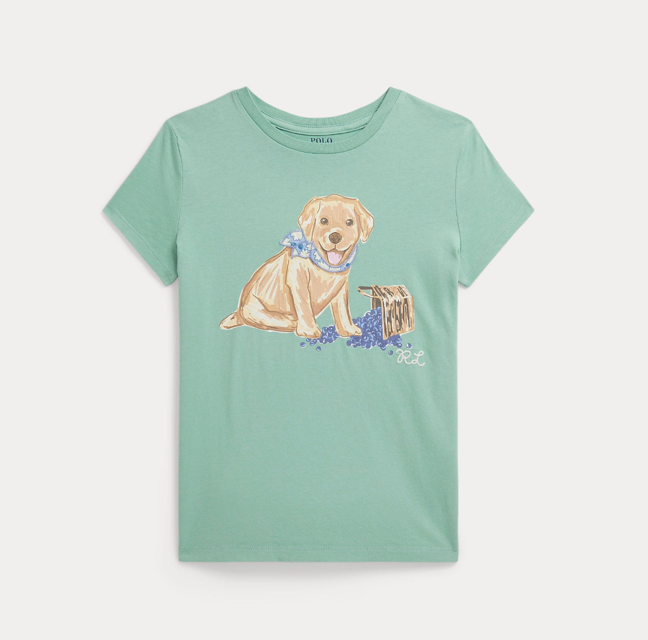 T-skjorte Dog Celadon