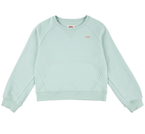 Genser Sweatshirt Celadon