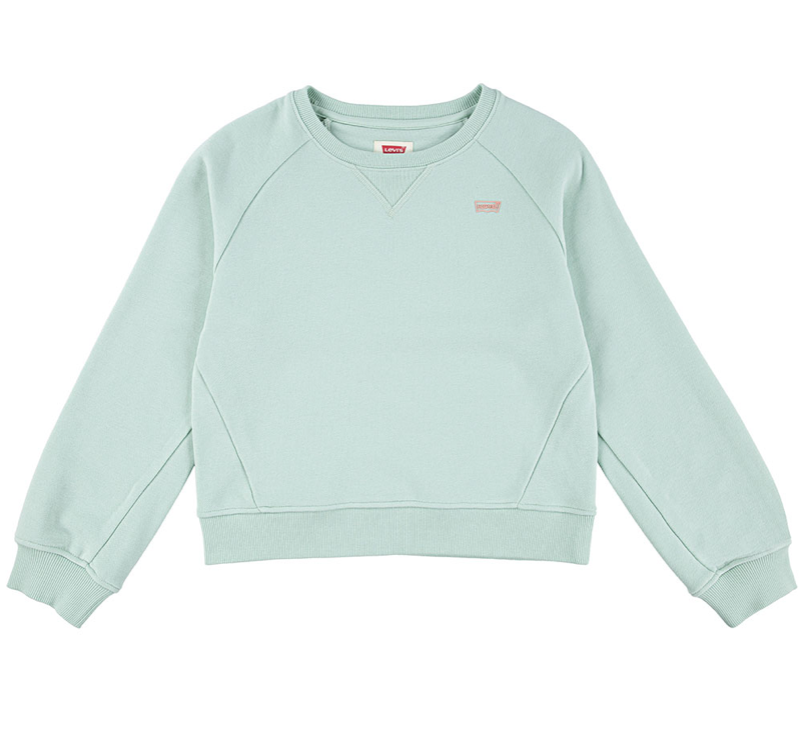 Genser Sweatshirt Celadon