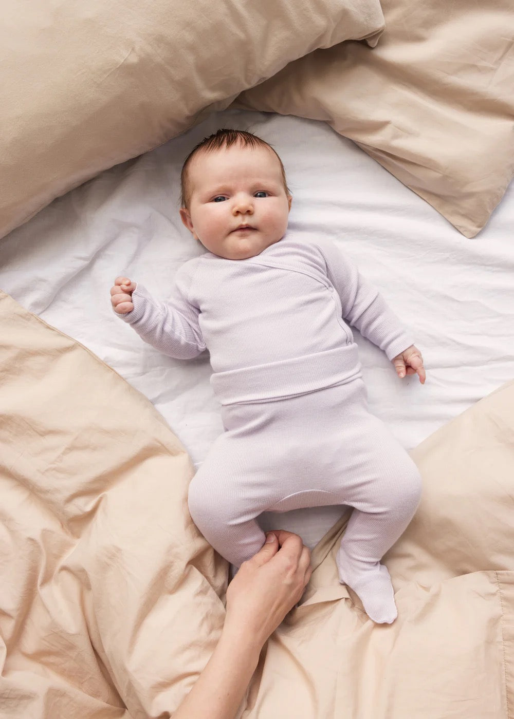 Body Belito Modal Sweet Violet