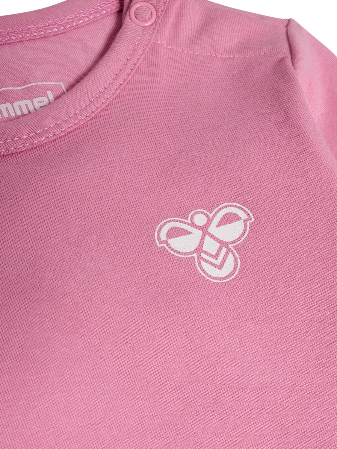 Body Solid Bee Polignac