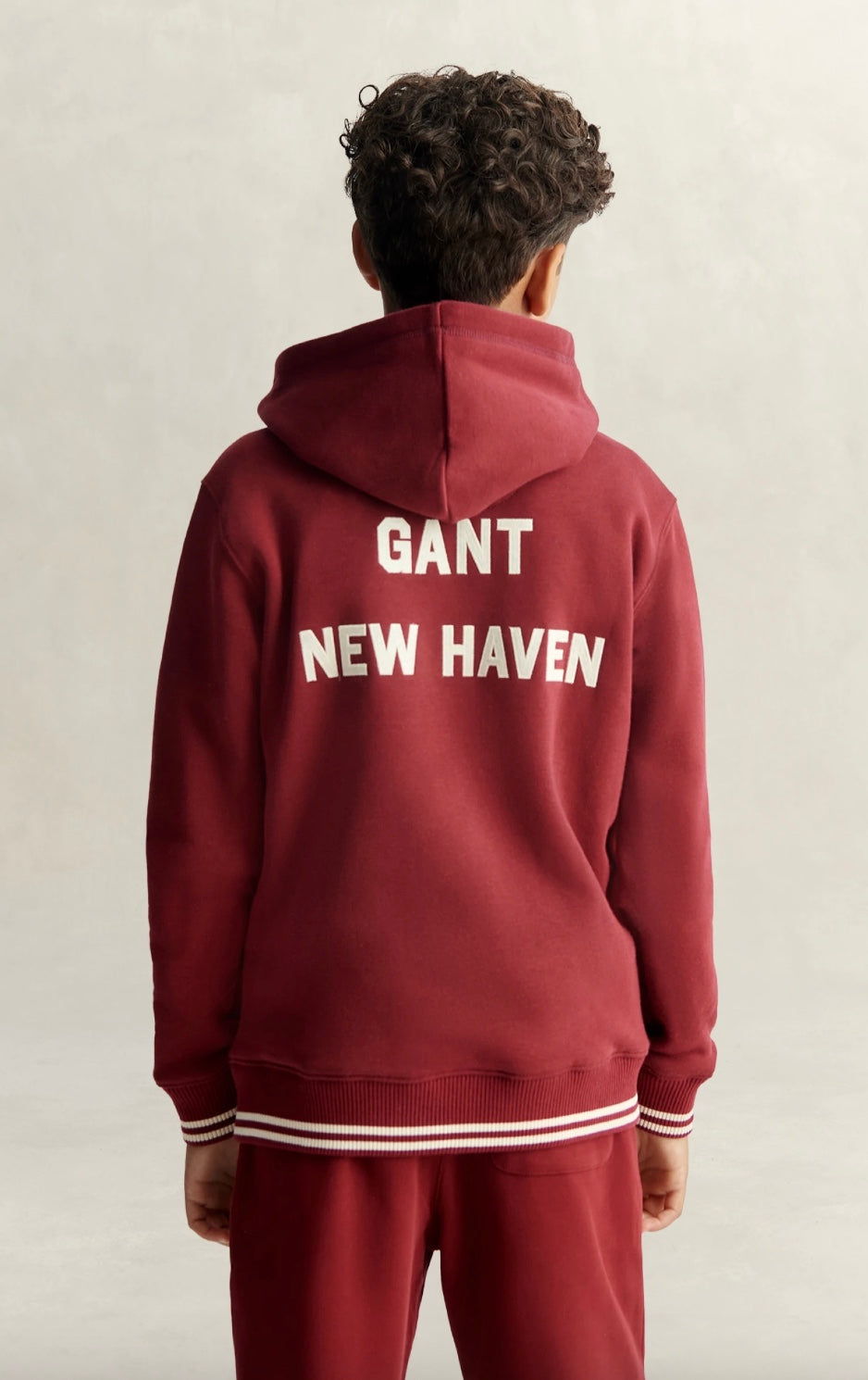 Hettegenser Collegiate Graphic Zip Plumped Red