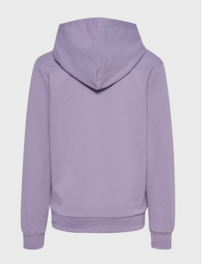 Genser Cuatro Hoodie Lavender Grey