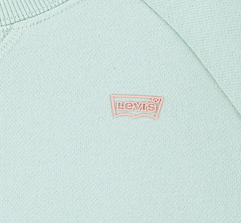 Genser Sweatshirt Celadon