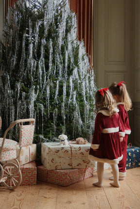 Sett Christmas Red Dahlia