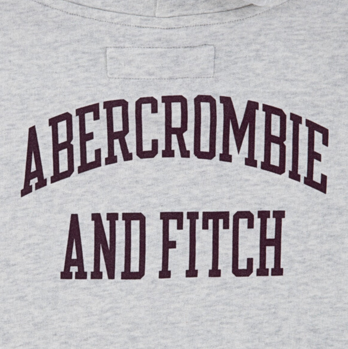 Hettegenser Fashion Light Grey Heather