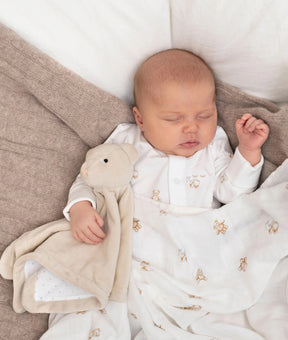 Koseklut Teddy Tay Beige