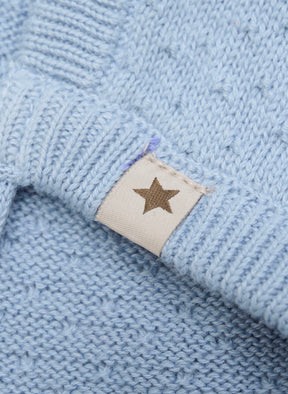 Lue Bonnet Soft Chambray